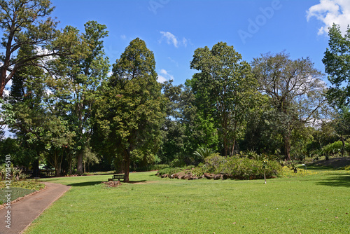 Botanischer Garten in Pietermaritzburg, Südafrika