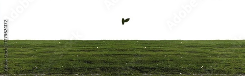 easter bunny ears turning headfirst to green grass isolated on white banner - space for copy
