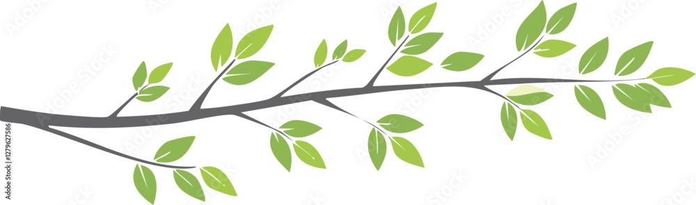 branche avec des feuilles