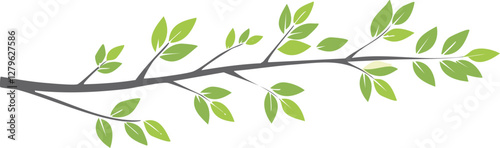 branche avec des feuilles