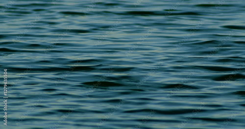 blue water surface