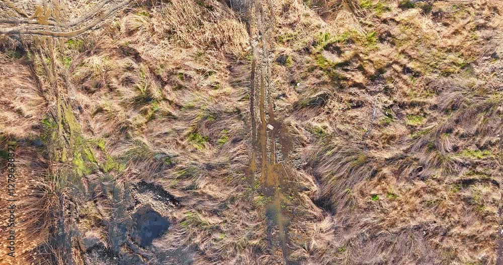 Aerial view of a wetland with dry grass and muddy tracks creating a textured background Aerial view of a wetland with dry grass and muddy tracks creating a textured background