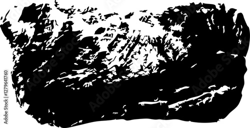 carne, fotografia en negativo vector, textura y claridad.