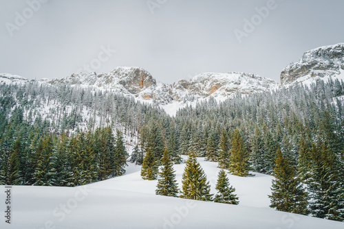 Fototapeta Naklejka Na Ścianę i Meble -  Tatra Mountains, Poland. Panorama of a mountain landscape. Winter in the mountains