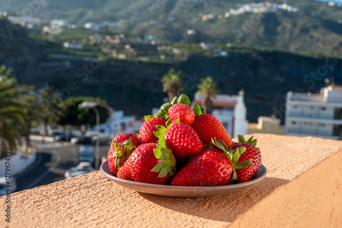 New harvest, plate with bio ripe red sweet strawberry from Tenerife, Canary islands, Spain, vegetarian food local grown fruits