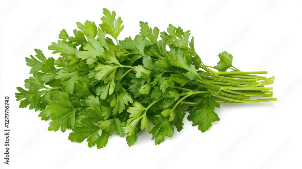 Fresh green parsley brings a burst of flavor to your dishes, perfect for garnishing and enhancing healthy meals. Fresh green parsley brings a burst of flavor to your dishes, perfect for garnishing and enhancing healthy meals.