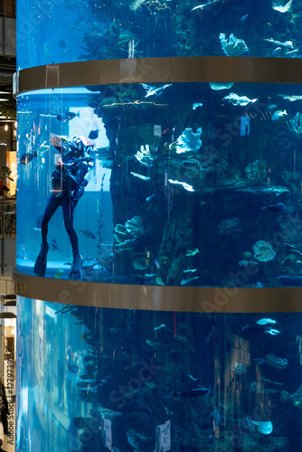 A diver swims among vibrant fish in the giant aquarium at Aviapark mall photo