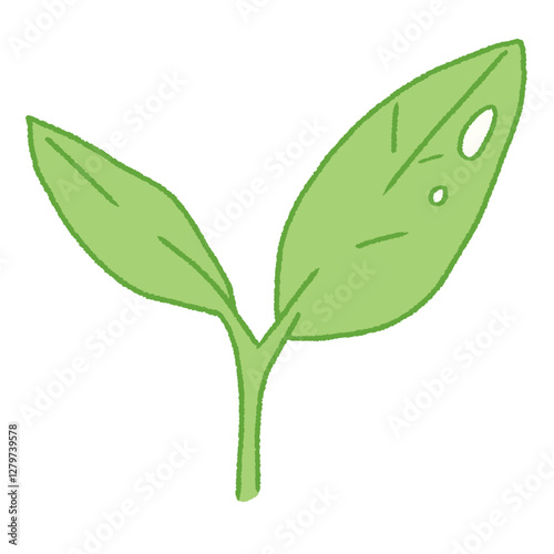 cute green tea leaves doodle hand drawn illustration