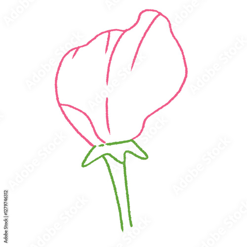 cute pink sweet pea flower doodle hand drawn line art illustration