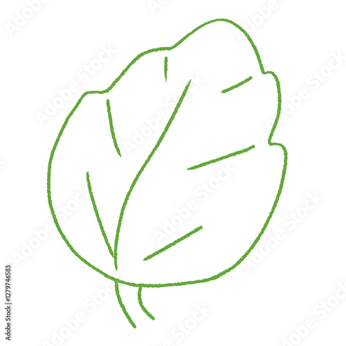 cute green mint leaf doodle hand drawn line art illustration
