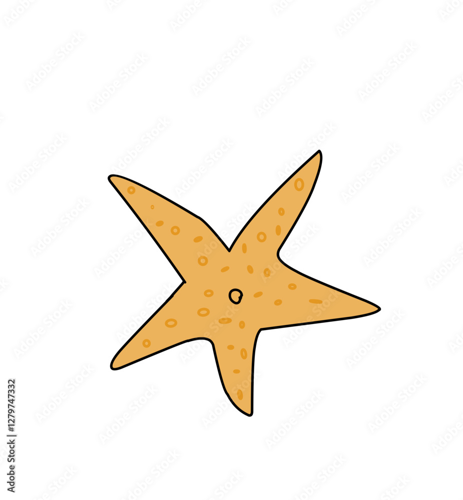 star octofus on white background star octofus on white background