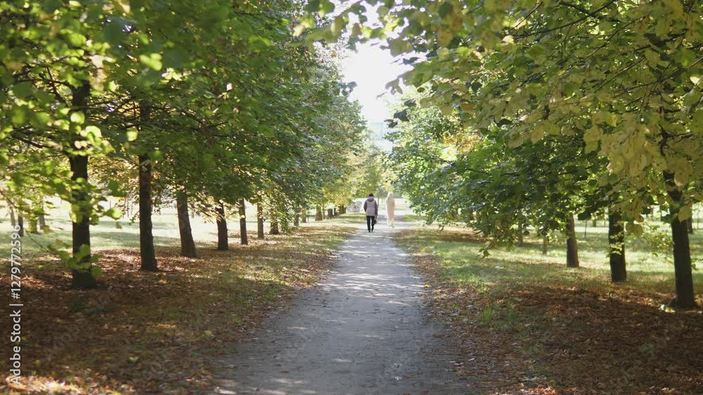 A beautifully peaceful walkway, abundantly lined with vibrant and colorful trees, inviting serenity and reflection A beautifully peaceful walkway, abundantly lined with vibrant and colorful trees, inviting serenity and reflection