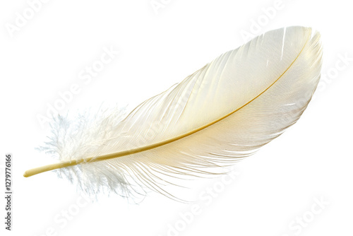 Delicate White Feather with Soft Texture on Transparent Background