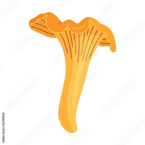 Chanterelle mushrooms 002