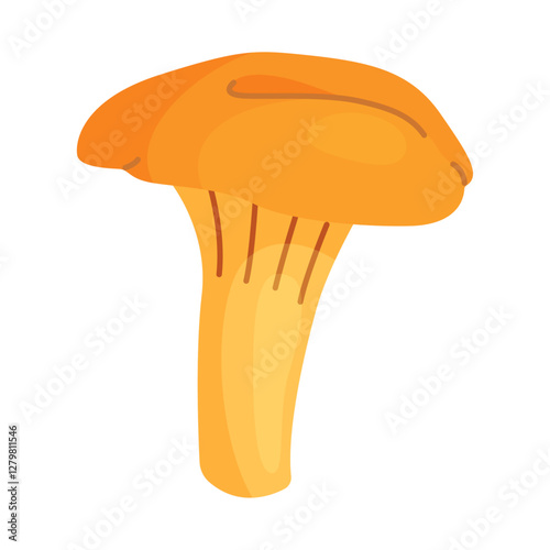 Chanterelle mushrooms 009