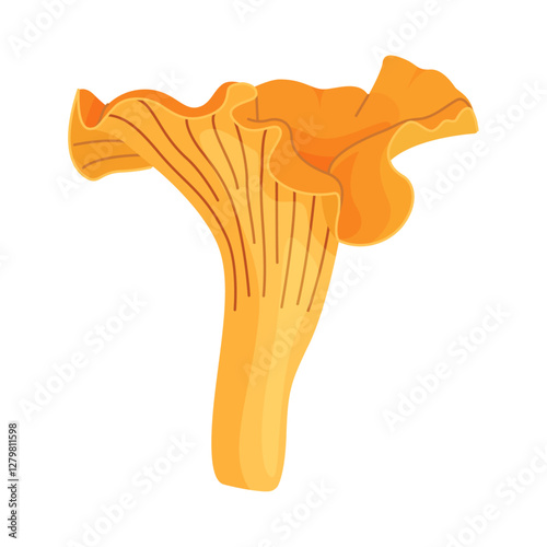 Chanterelle mushrooms 010