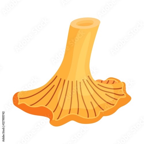 Chanterelle mushrooms 018