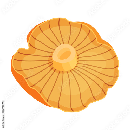 Chanterelle mushrooms 017