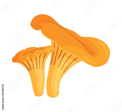 Fresh chanterelle mushrooms Hand drawn trendy flat style isolated icon. Edible fungi chanterelle, Yellow mushrooms. Vector illustration