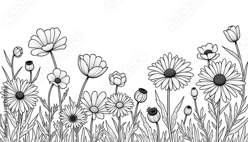 coloring books flower beautiful 