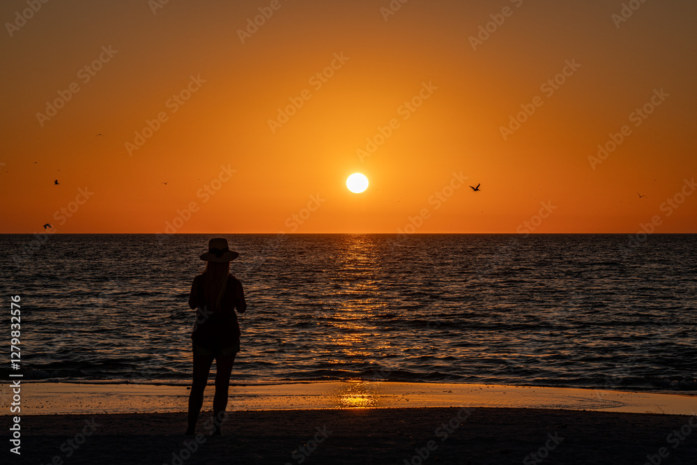 Fototapeta premium Sunset view from the Beach