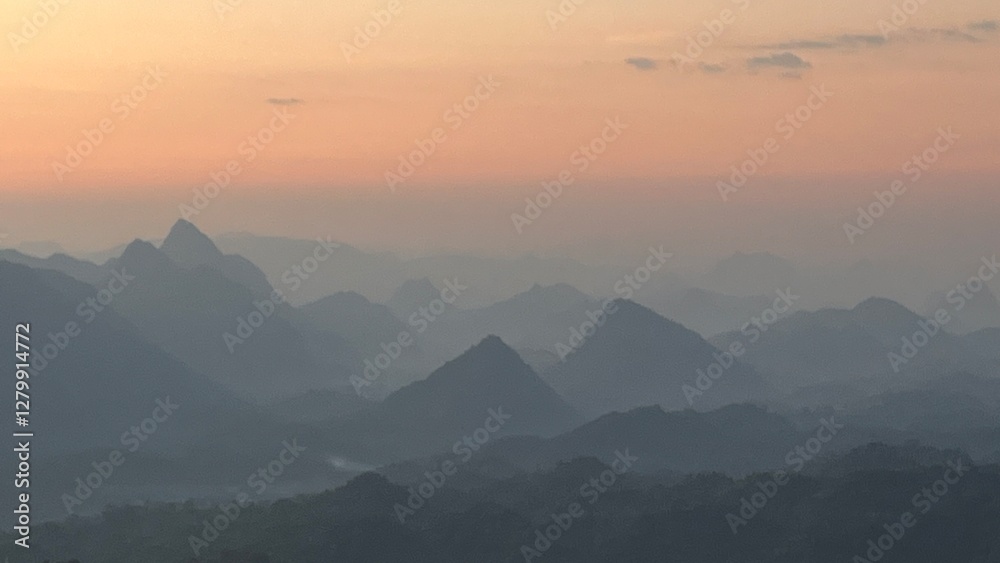 Obraz premium Trees, mountains, forests, nature.