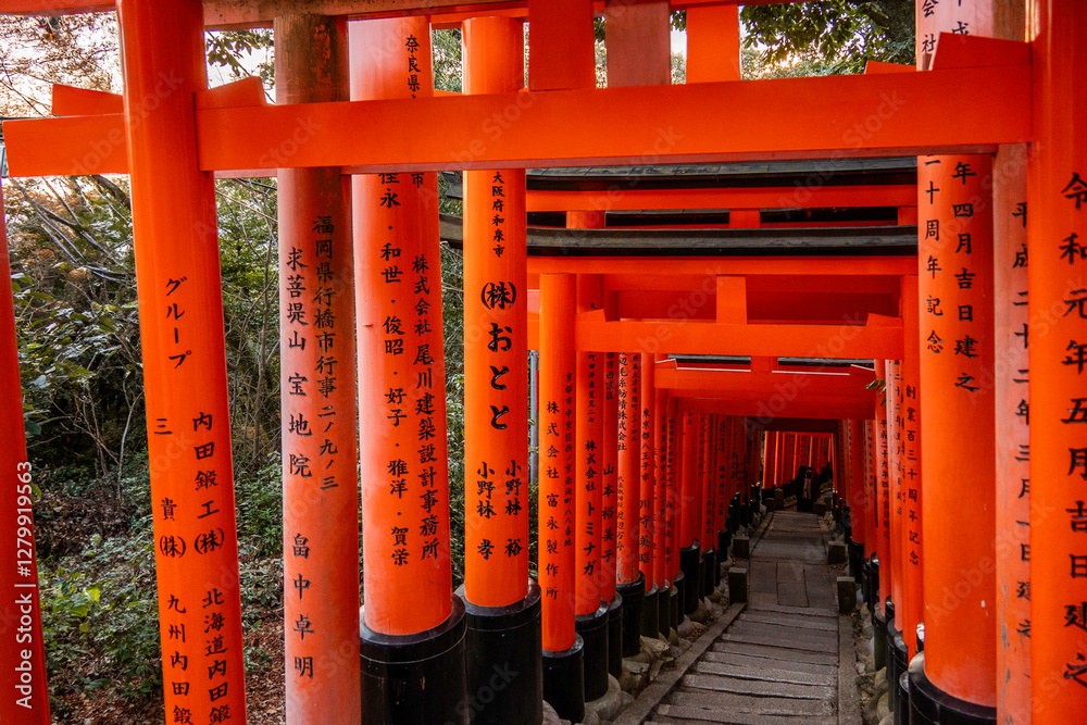 shinto shrine arches in Fushimi Inari in Japan shinto shrine arches in Fushimi Inari in Japan
