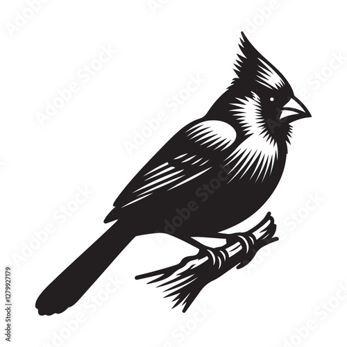 Cardinal Bird Silhouette Vector Illustration, Solid White Background.