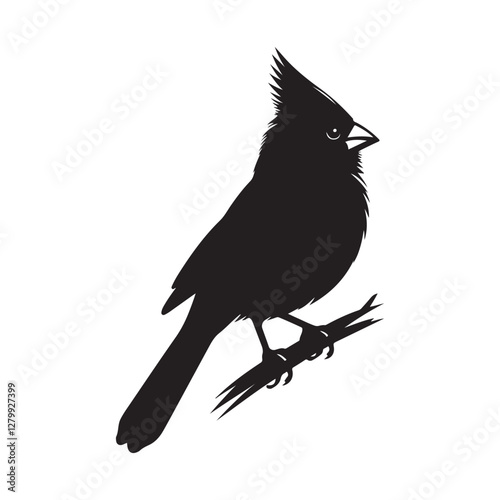 Cardinal Bird Silhouette Vector Illustration, Solid White Background.