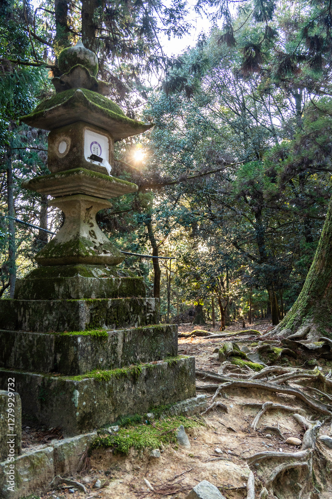 Exploring the serene pathways of Kyoto surrounded by ancient moss-covered stone lanterns at dawn
