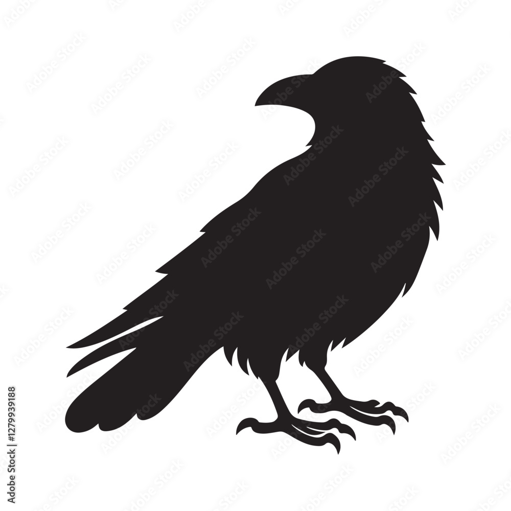 Fototapeta premium Crow Bird Silhouette Vector Illustration, Solid White Background.