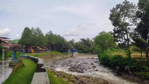 river in the forest