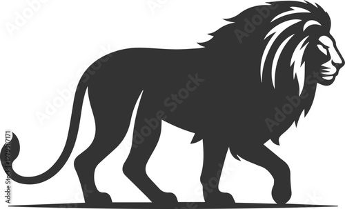 A lion walking slowly with its head lowered vector
