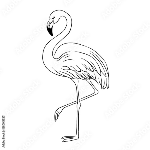 Pink flamingo cartoon, vector illustration, flamingo icon isolated on white background. Line art.