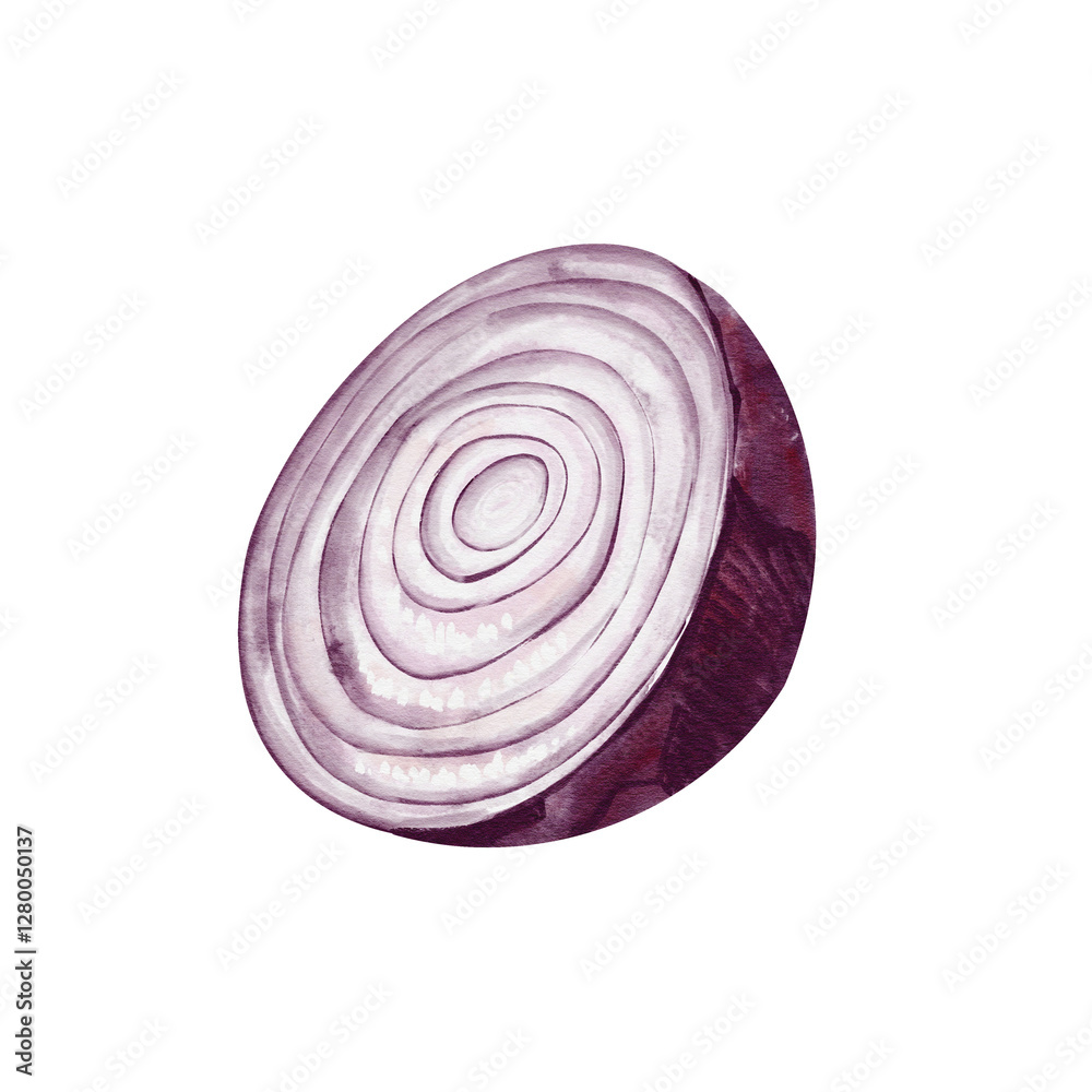 purple and red onions. half an onion. Purple vegetable. Watercolor illustration isolated from background. onion rings. For menu, recipe and food preparation. Ingredient for meat. Useful product.