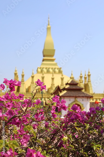That Luang Stupa Vientiane Laos