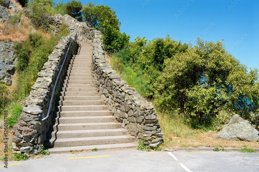 Rustic Stairway Up a Hill on a Sunny Day – Scenic Outdoor Pathway Rustic Stairway Up a Hill on a Sunny Day – Scenic Outdoor Pathway