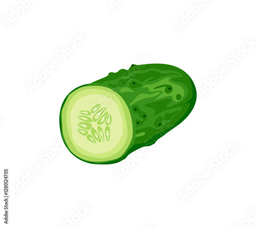 Cucumber cut in half isolated on white background.  Vector cartoon flat illustration of fresh vegetable