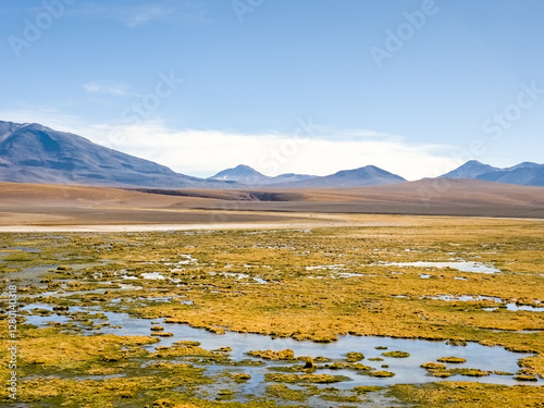 Atacama desert in Chile