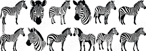 Zebra silhouettes set, safari pack of vector silhouette design, isolated background