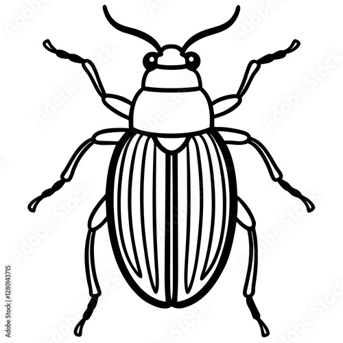 Geometric Beetle Design