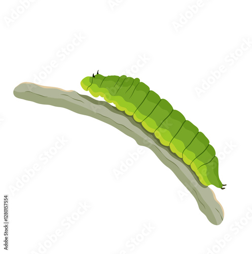 Green Caterpillar on a Twig Illustration Isolated on White Background