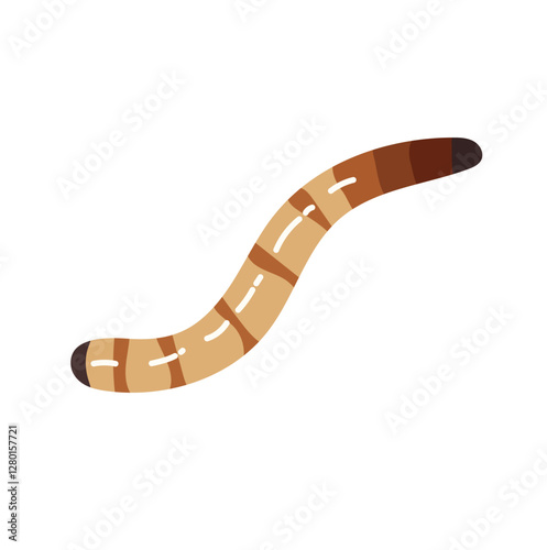 Single Mealworm or Worm Larvae Animal Illustration Isolated on White Background