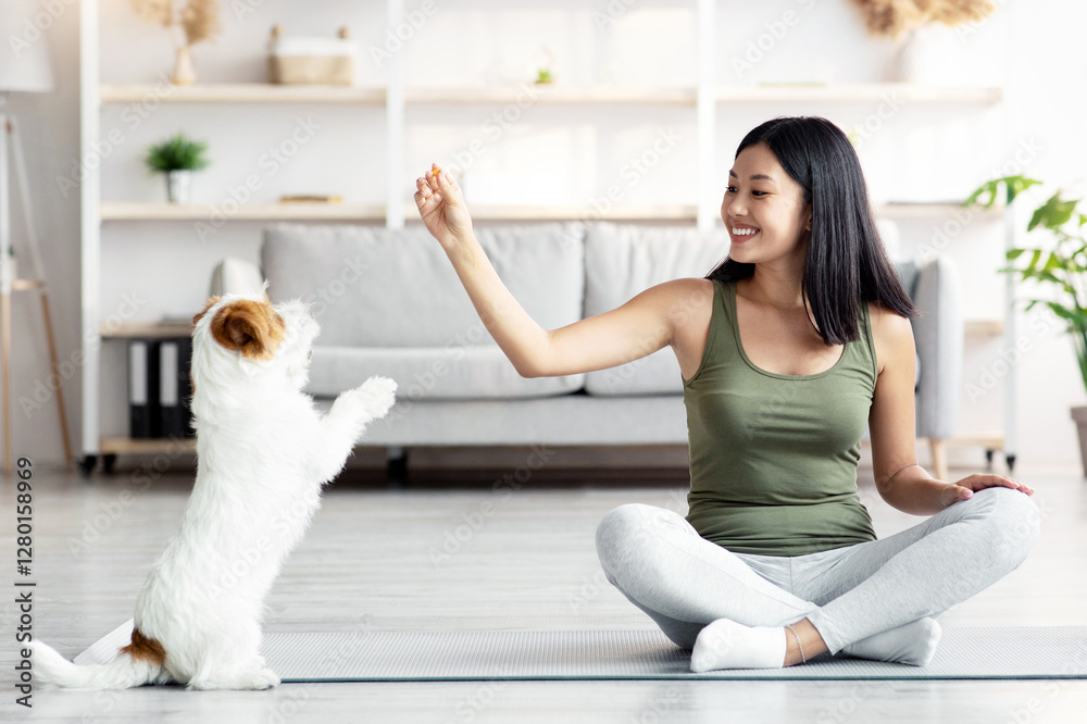 © Prostock-studio - Cheerful young asian woman in sportswear sitting on yoga mat and playing with her funny dog jack russel terrier breed while exercising at home, giving puppy treats, living room interior, copy space © Prostock-studio - Cheerful young asian woman in sportswear sitting on yoga mat and playing with her funny dog jack russel terrier breed while exercising at home, giving puppy treats, living room interior, copy space