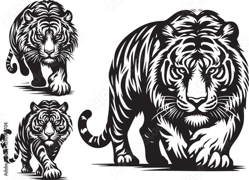 tiger vector illustration