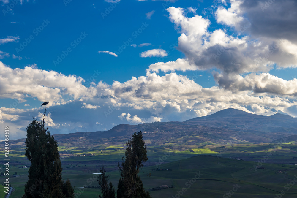 Afternoon colors in Tuscany
