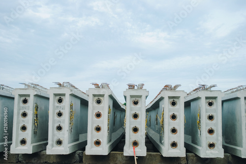 Segmental PC-I Girder is a precast I-shaped beam made of prestressed concrete. These beams withstand the loads acting on the bridge and distribute them to the bridge substructure.
