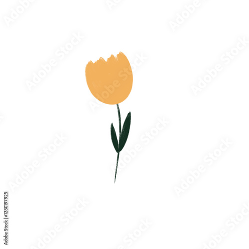 yellow tulip flower