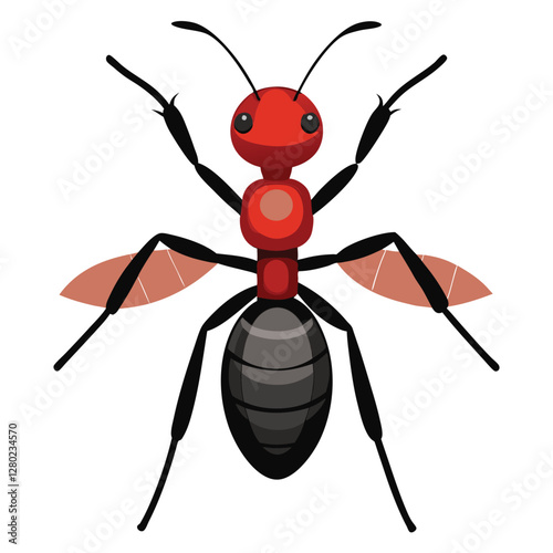 ant vector