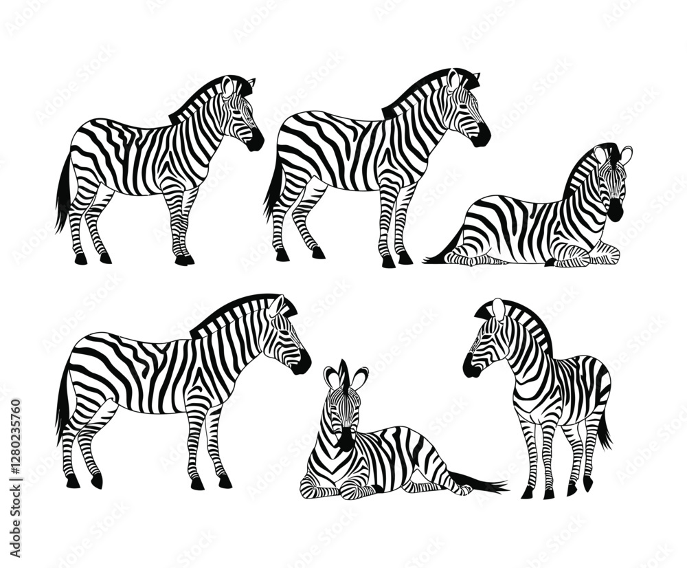Fototapeta premium Bold Zebra Silhouette Collection Vector Template Design
